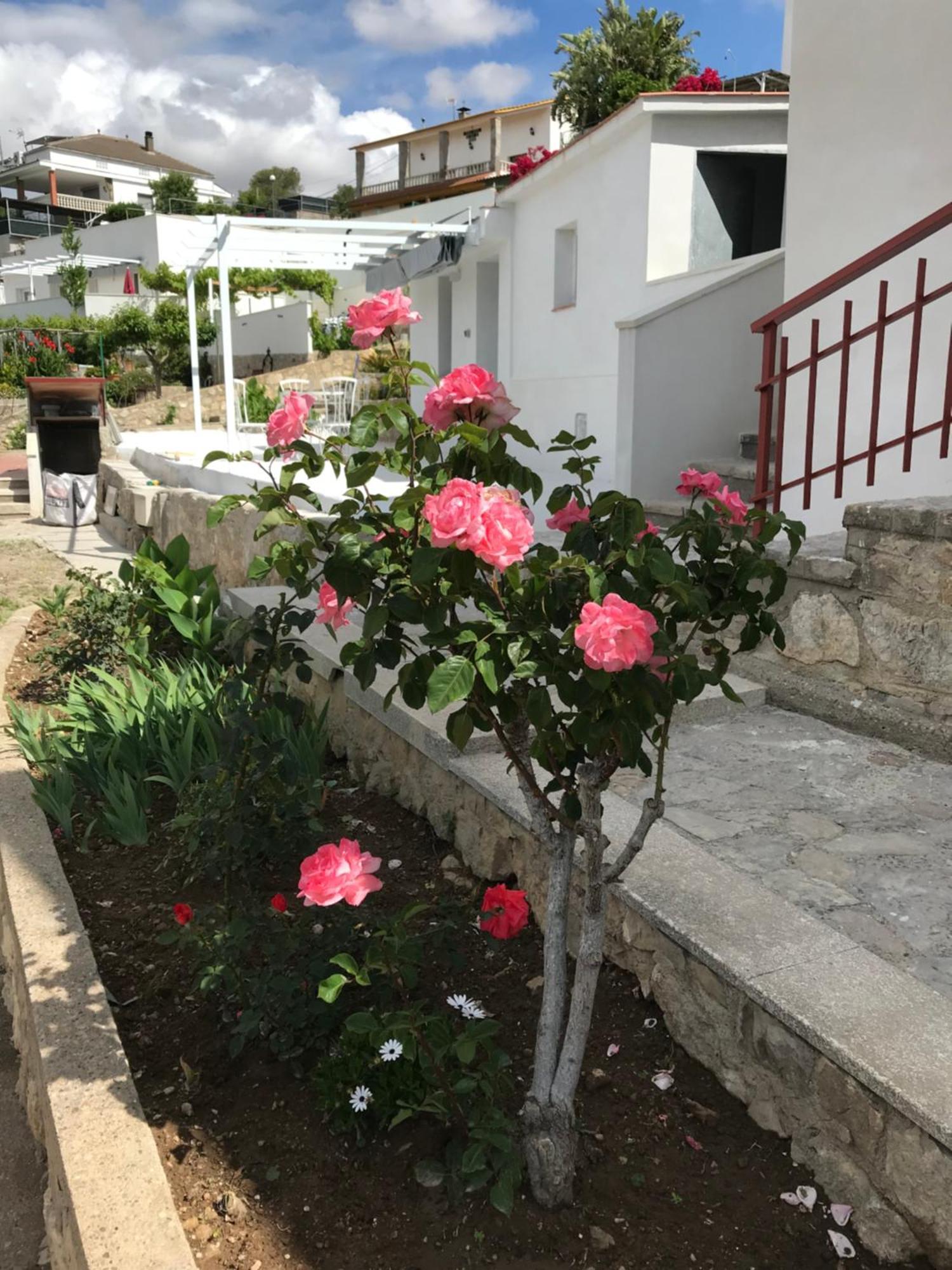 Willa Campagne Luxueuse De Sitges Olivella Zewnętrze zdjęcie